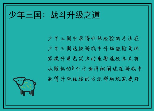 少年三国：战斗升级之道